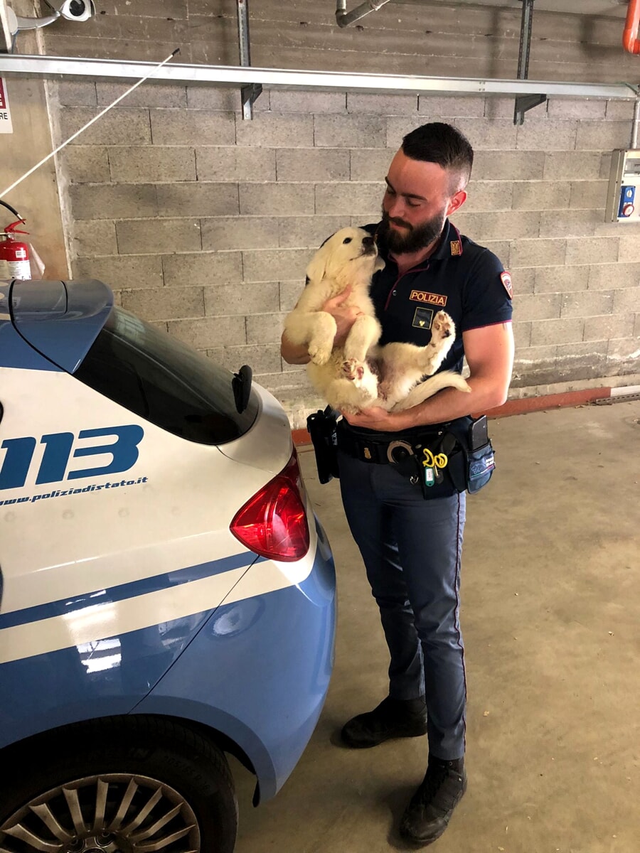 “Se non ti porto non parto”: la polizia lancia lo spot contro l’abbandono degli animali