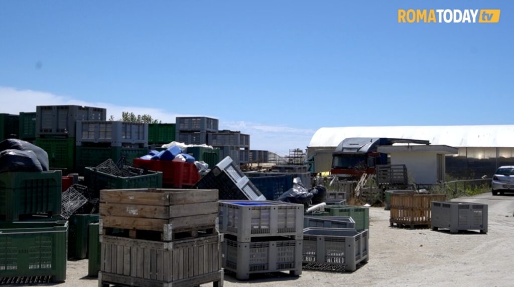 Migranti fatti arrivare con un click, aziende finte. Così si diventa agricoltori nella terra di Antonello Lovato (Video)