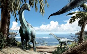 Geopasseggiata tra i fossili di Rocca di Cave