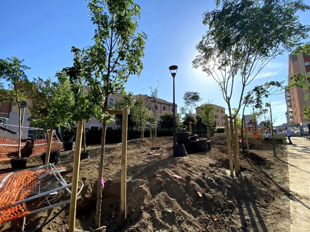 Nuovi alberi al Giardino Galafati, Annucci: "Sarà un bosco urbano, terminati 2/3 degli interventi"