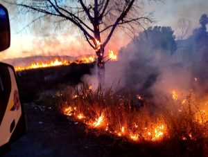 Roma brucia, tre maxi roghi. L'allerta dopo Casal Lumbroso: "Finestre chiuse e condizionatori spenti in 3 municipi"