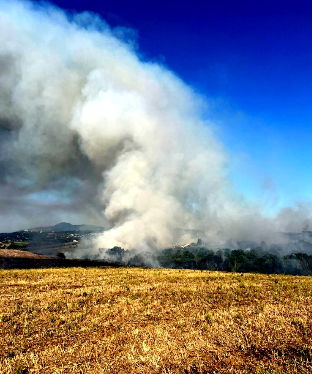 Serie di incendi, oltre 40 roghi tra Roma e provincia in un giorno