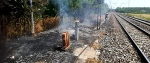 Raffica d'incendi a Roma e provincia: fiamme vicino ai binari fermano i treni della linea regionale
