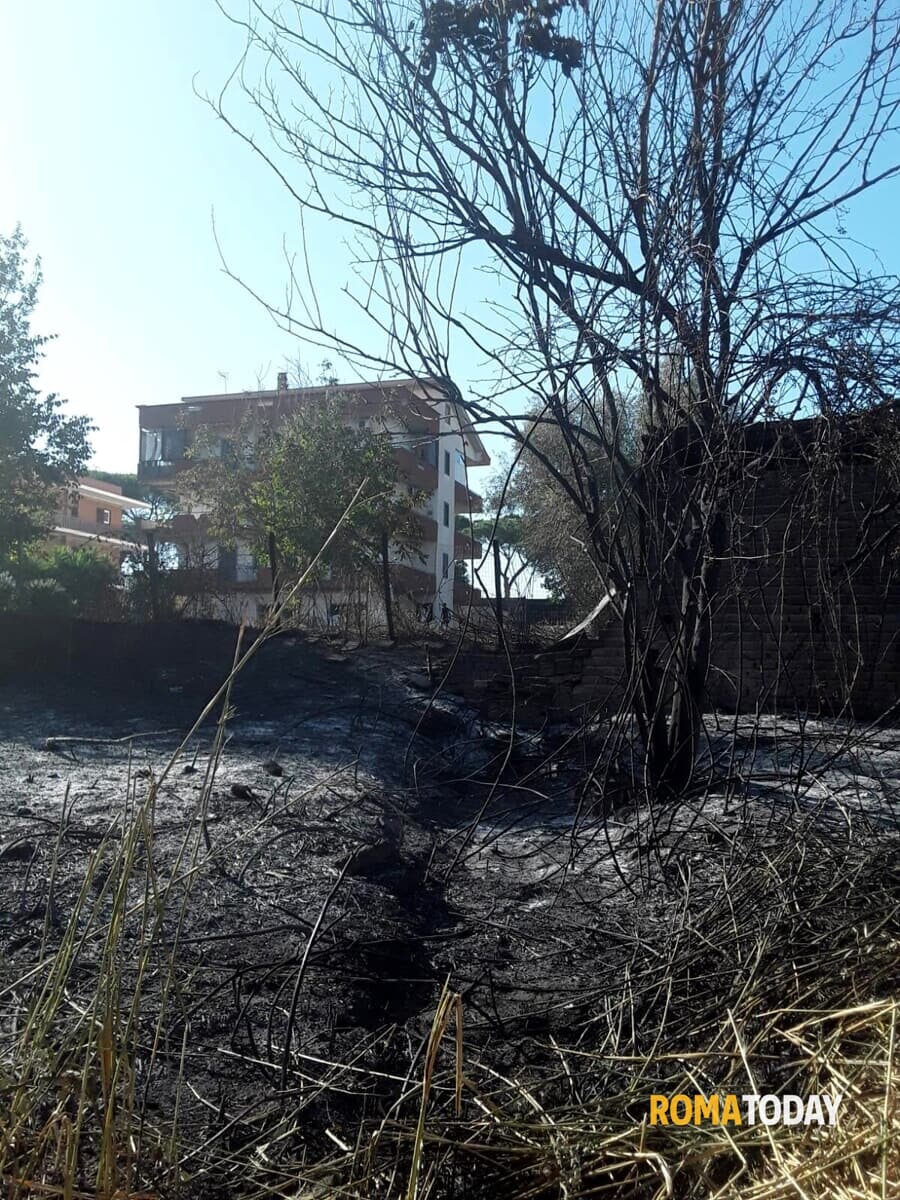 Incendio vicino alle abitazioni, evacuate 50 persone. Quattro intossicati