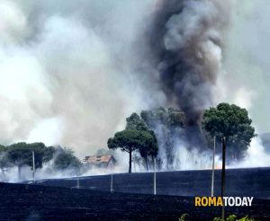 Roma circondata dagli incendi: fiamme minacciano impianto fotovoltaico