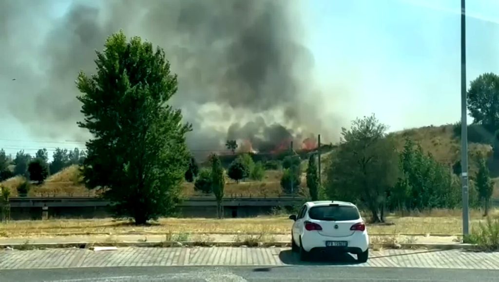 VIDEO | L'incendio a Ponte di Nona nella zona del parco archeologico