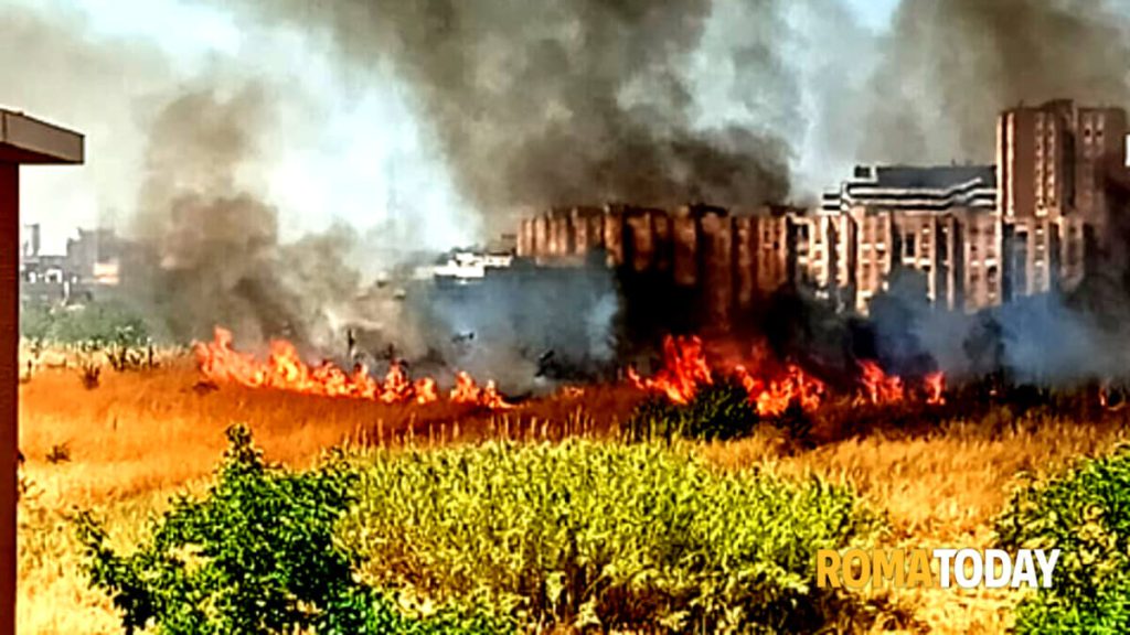 Incendio sotto al viadotto: fiamme vicino alle case e al commissariato
