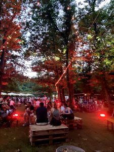 BoscodiVino al Parco dei Castelli Romani a Lariano