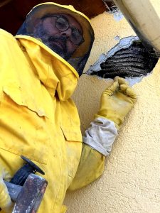 Spruzza lo spray sul muro esterno e si trova casa invasa di vespe: “Mai più, mi sono messa paura”