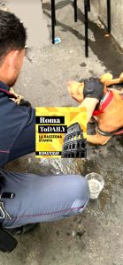 Roma senza tram. 4 morti sulle strade in due giorni. ASCOLTA il podcast di oggi primo luglio