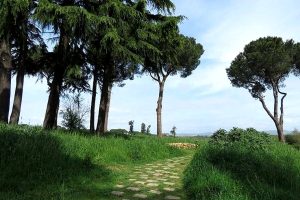 Roma nord, approvato il piano per la manutenzione del verde: ecco cosa cambia