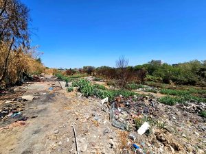 Incendio Magliana, la Regione avvia lo sfalcio: "Interveniamo su competenze del comune"