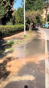 Cede l'asfalto per una perdita d'acqua: "Rischiamo nuova voragine"