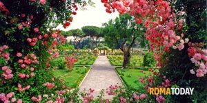 Il Roseto di Roma aperto tutto l'anno: l'Assemblea capitolina approva la mozione