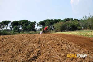 Allarme siccità, riflettori puntati sulle campagne romane: “Sono minacciate da fuoco e sete”