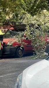 Villa Gordiani, si spezza un ramo: danneggiate tre auto in sosta