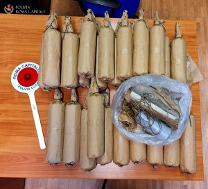 A passeggio con il cane trova bombe carta e fuochi d'artificio sotto un'auto