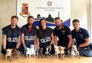 Chihuahua chiusi in un'auto sotto il sole: Xena e Giammarco trovano casa