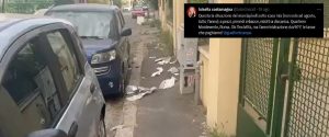 "Marciapiedi ridotti a discarica". La giornalista Luisella Costamagna denuncia, Ama interviene