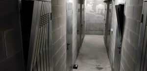 Saccheggiano un box e poi scappano con la refurtiva in un carrello della spesa