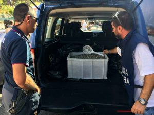 Blitz a Fiumicino, sequestrati 320 chili di pesce e crostacei