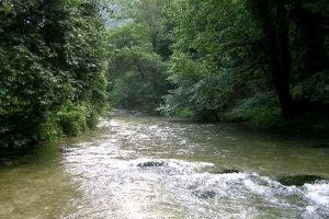 Roma Capitale ha aderito al contratto di fiume per il recupero ambientale dell'Aniene