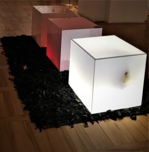 In between "Hadron Art Association" a cura di Maria Laura Perilli