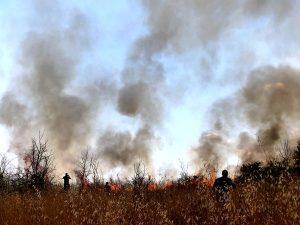 Roma brucia, oltre 50 incendi in un giorno. Fuoco anche vicino alle case