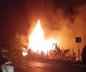 Incendio alla Giustiniana, fiamme minacciano le case. Roma brucia anche di notte