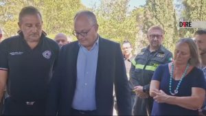 VIDEO | Gualtieri al 'pratone' di Torre Spaccata: il sopralluogo dopo il maxi incendio