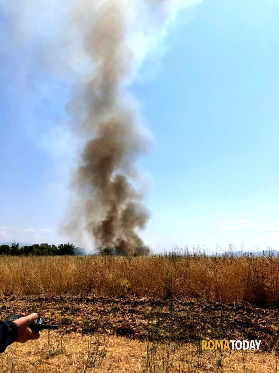 Incendio a Roma: alte fiamme minacciano auto e abitazioni. Richiesto l'intervento dei mezzi aerei