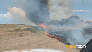 Roma, incendi in serie tra Muratella e Massimina. La fiamme arrivano anche a Maccarese