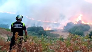 Incendio sul Monte Tuscolo: le fiamme sfiorano le abitazioni di Monte Compatri