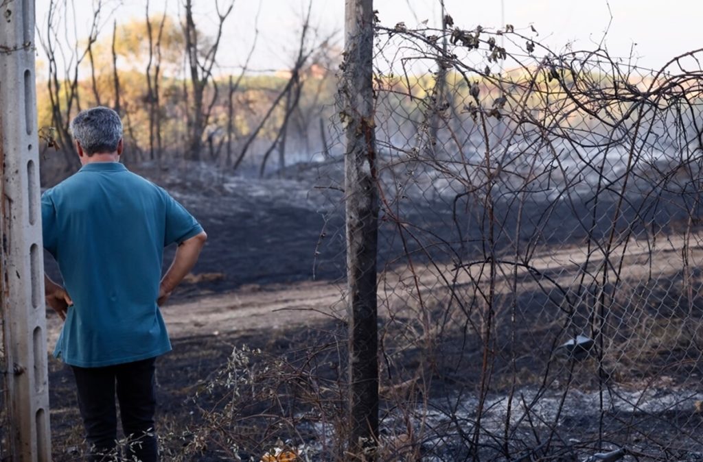 Incendio Torre Spaccata, Gualtieri sul luogo del rogo: "È doloso". Trovati candelotti sospetti