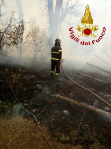 "Stremati dagli incendi e senza mezzi": i vigili del fuoco in stato di agitazione