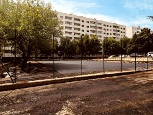 Aree verdi, parte il restyling del parco. Resta il nodo sull'area cani "spontanea"