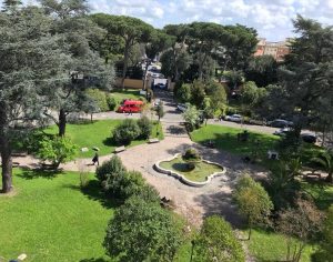 Al Santa Maria della Pietà verranno abbattuti 232 alberi: "Azione necessaria, saranno sostituiti"