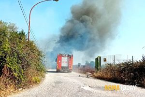 Incendio a Roma nord est, brucia l'area di Settecamini: fiamme e fumo nero vicino alle case