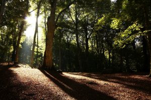 6 borghi da scoprire ad agosto nel Lazio, lontano dal caldo della città