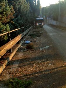 La lettrice segnala, Ama interviene "Effettuato intervento di pulizia e diserbo"