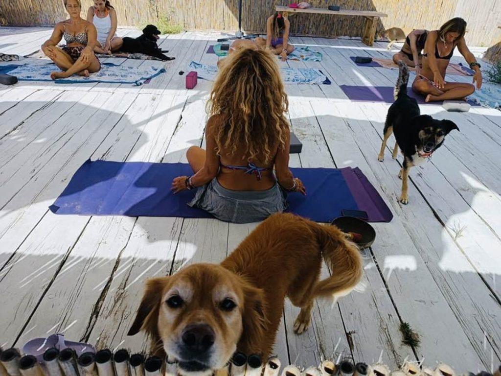 Al Baubeach un week-end di Yin Yoga con musica, aromi, colori e cani