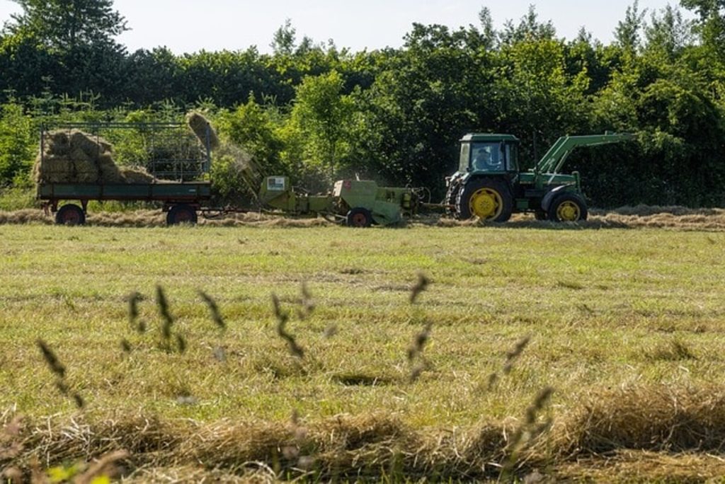 "L’agroalimentare del territorio laziale", l'evento di Earth Day ad Acilia