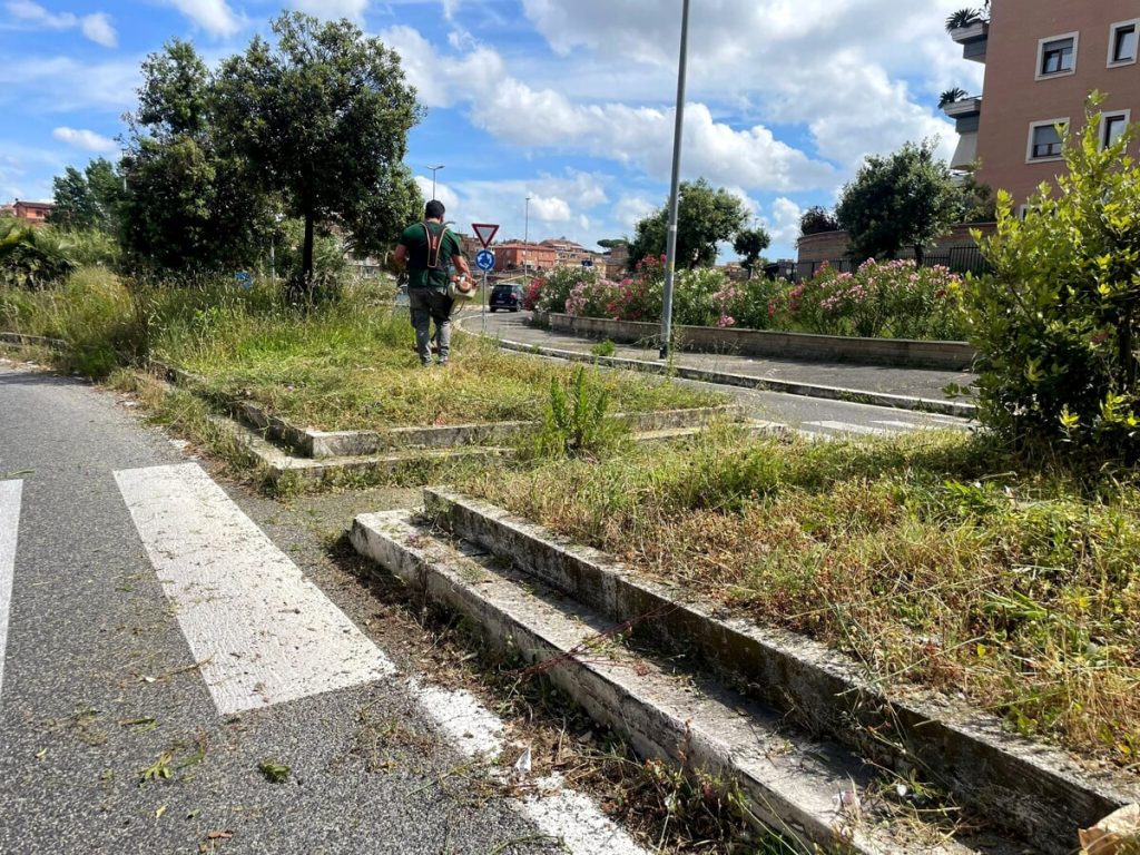 Cura aree verdi, il II municipio vuole chiedere aiuto ai cittadini. Che lo faranno gratis