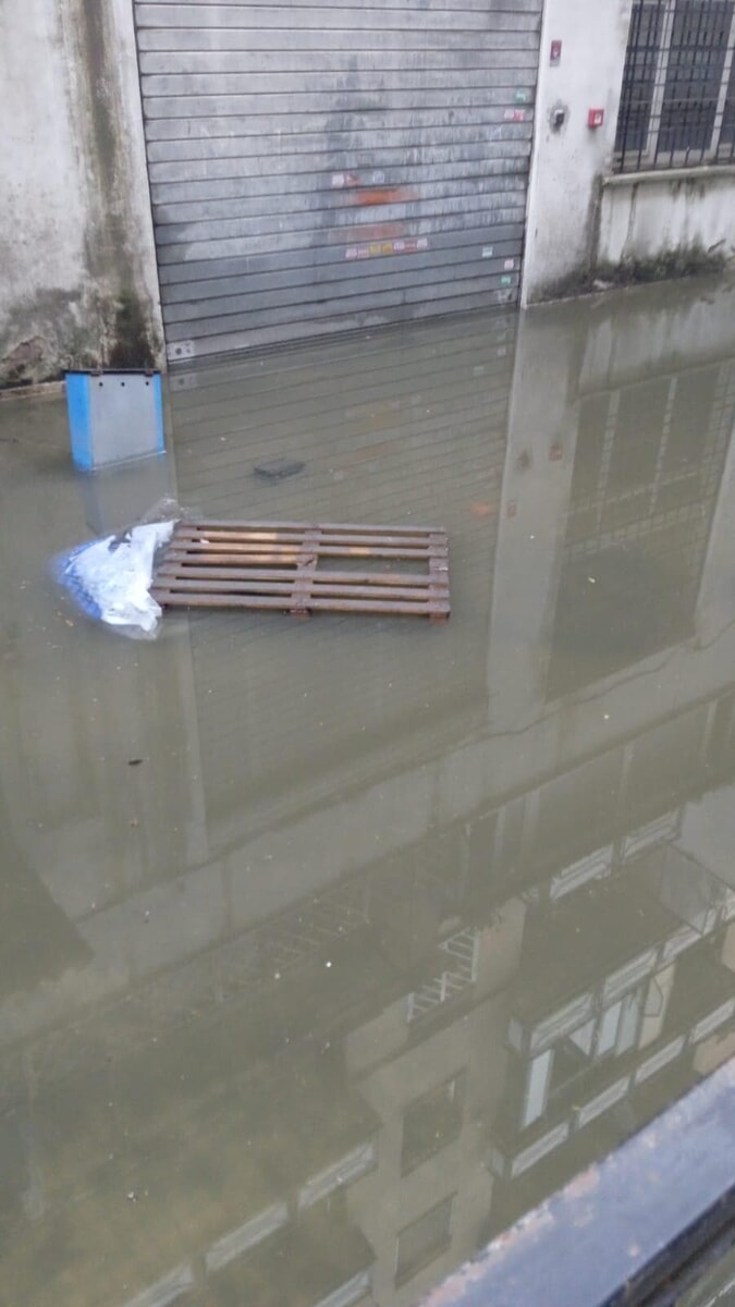 Il nubifragio allaga un'autofficina: "Chiusi da una settimana, siamo in ginocchio"