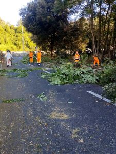 Panoramica Monte Mario, bonifica conclusa: "Ora lavori su strada e segnaletica"
