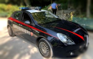 "Correte, c'è un cadavere nel parco". Uomo trovato morto tra gli alberi