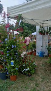 "La conserva della neve" all'Orto Botanico