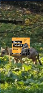 Catturata la lupa che spaventava Roma nord. La rivolta dei detenuti a Regina Coeli. ASCOLTA il podcast di oggi 27 settembre