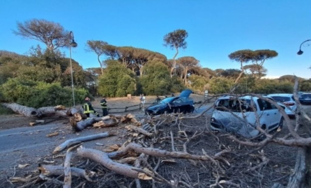 Paura a Castel Fusano: pino crolla su due auto