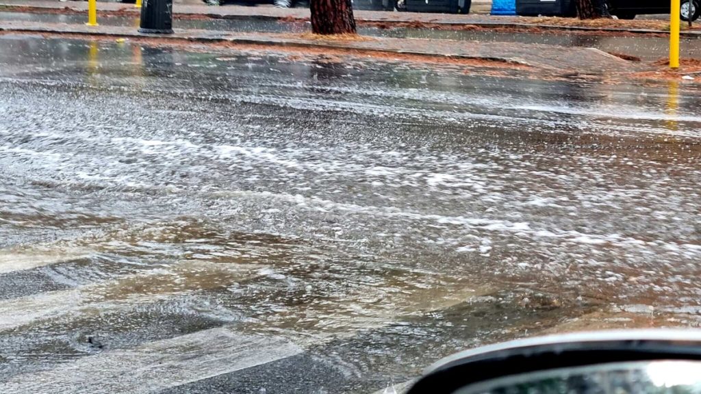 Nubifragio su Roma: strade allagate, alberi caduti e rami pericolanti